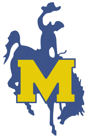 McNeese State Cowboys 1987-2003 Primary Logo iron on transfers for clothing